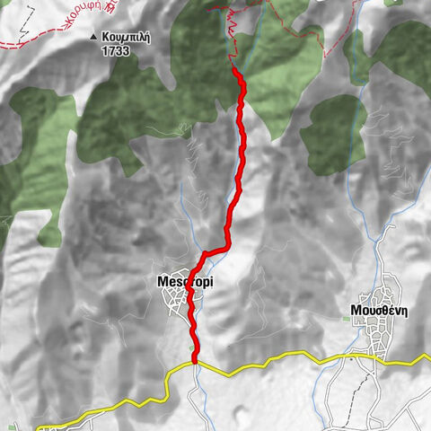 Κόλιας - Κλαδί Ελιάς - Ιερός Ναός Ιωάννη του Προδρόμου - Ιερός Ναός Αγίου Γεωργίου