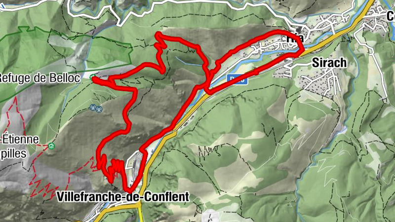 Carte