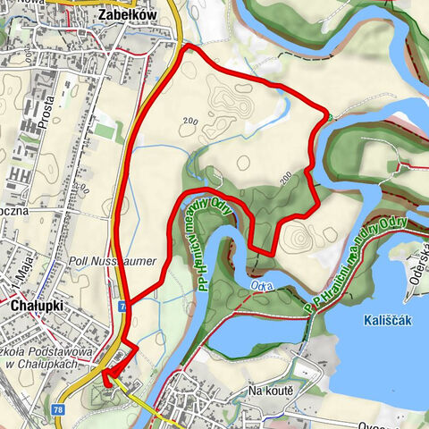 Chałupki - Stary Dwór - Wieża widokowa Graniczne Meandry Odry - Zabełków