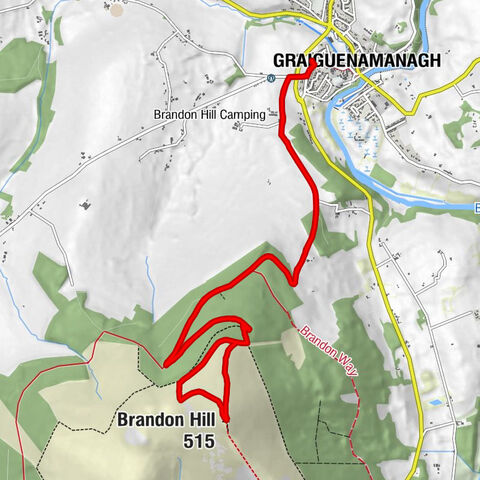 Graiguenamanagh - Freney's Well - Brandon Hill