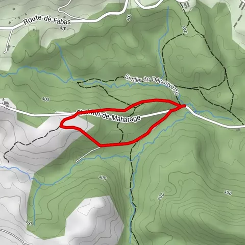 La Forêt royale - Chemin de la forêt
