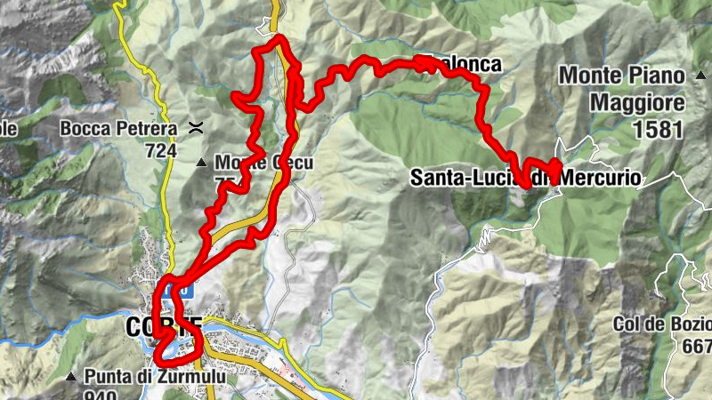 Carte