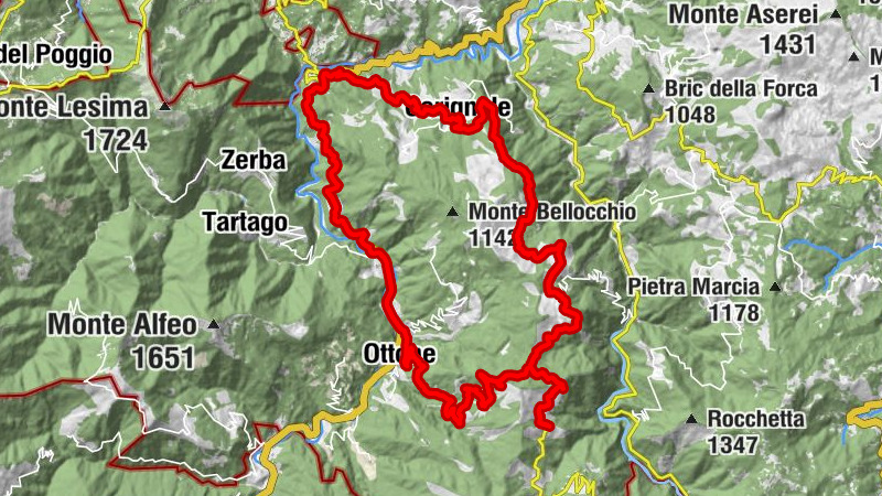 Carte