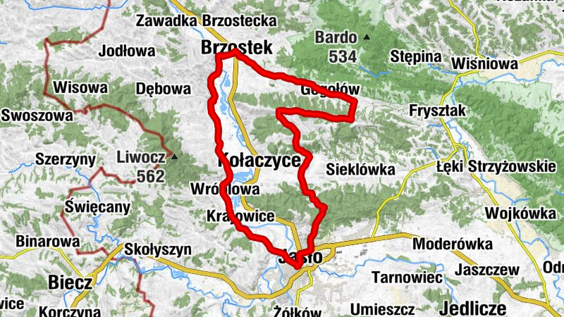 Carte