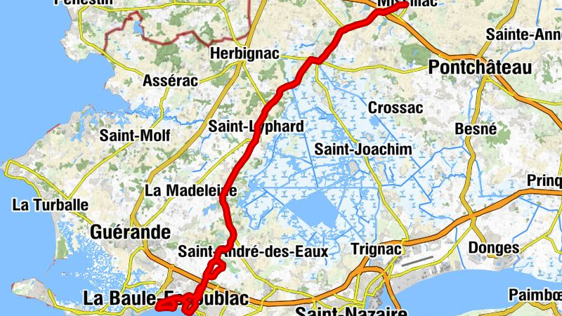 Carte