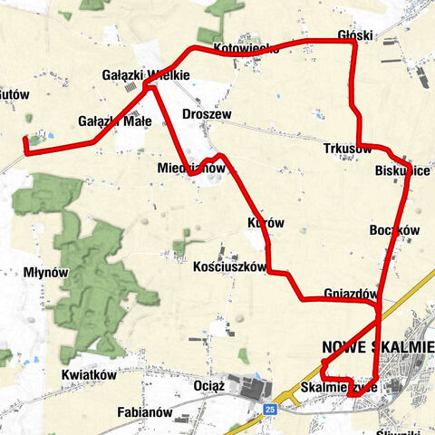 powiat ostrowski - Gałązki Małe - Nowe Skalmierzyce - Kościół pw. Świętej Katarzyny Aleksandryjskiej