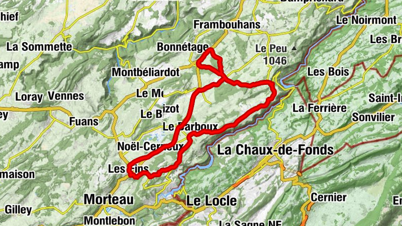 Carte