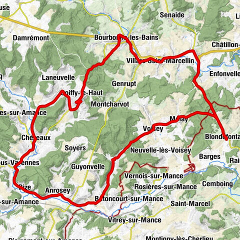 Église Saint-Martin - Église de l'Immaculée-Conception - Église Saint-Barthélemy - Église Saint-Remi