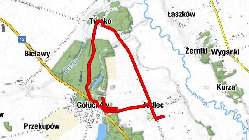 powiat pleszewski - Jedlec - Gołuchów - Zamkowa