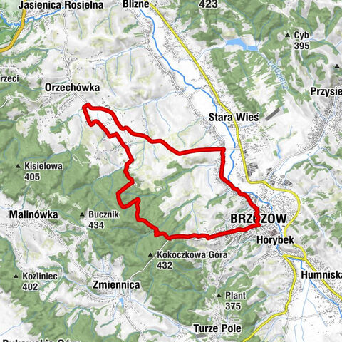 Brzozów - Kościół pw. Przemienienia Pańskiego - Kaplica domowa