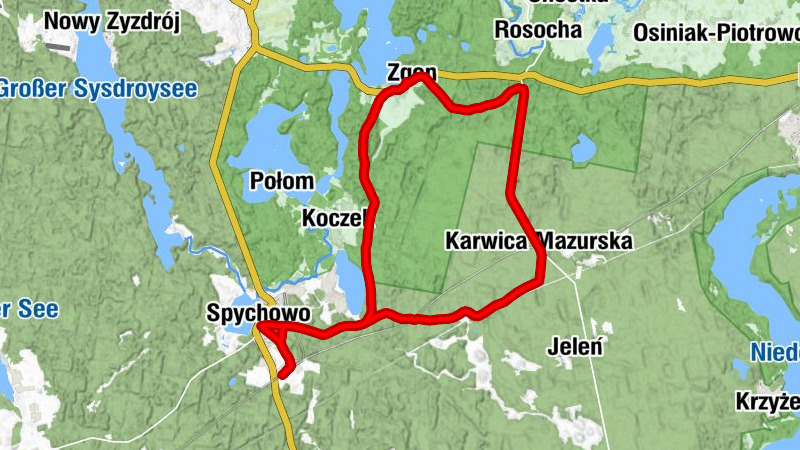 Spychowo - Kurka wodna - Zgon