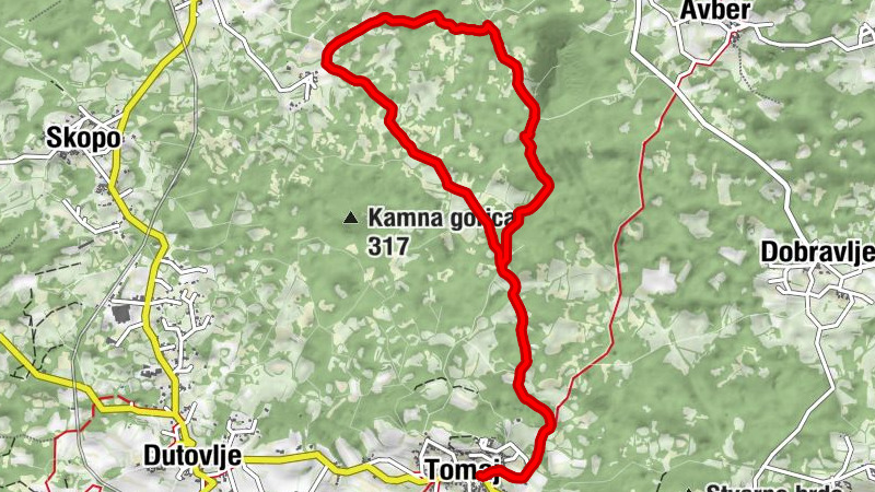 Carte
