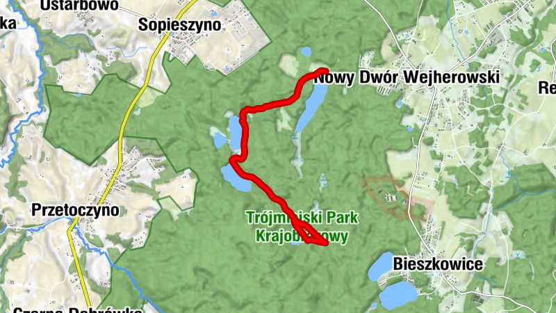 Borowo - Wygoda