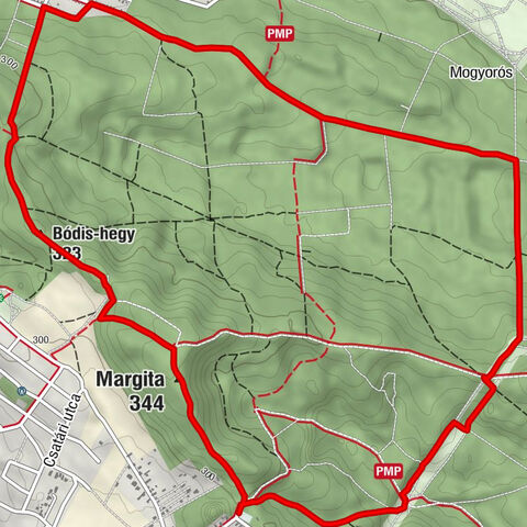 Szada - Margita - Bódis-hegy - Erdőkertes