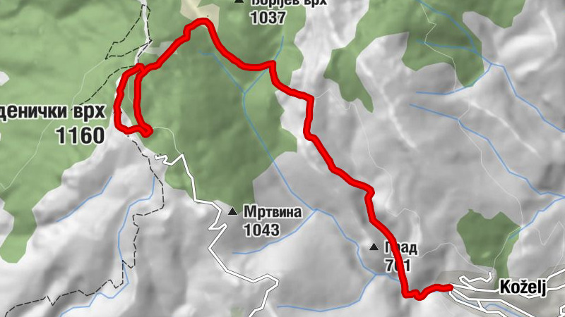Carte