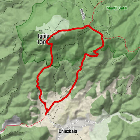 Borcut Groape - Igniș - Baia Mare