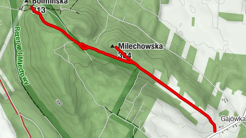 Gajówka - Milechowska - Piekło - Bolmińska