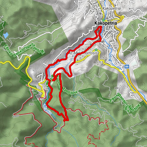 Palia Kakopetria - Κακοπετριά