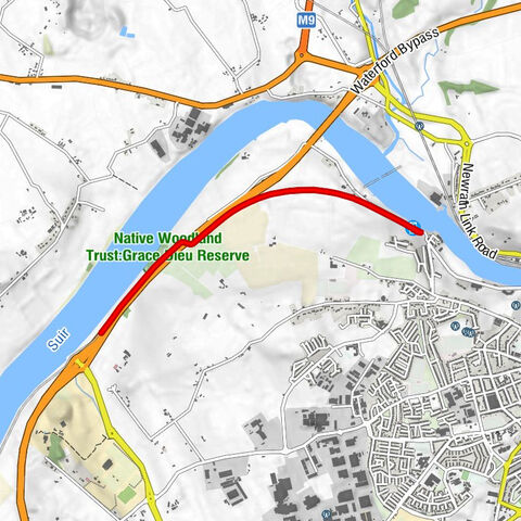 Bilberry - Waterford