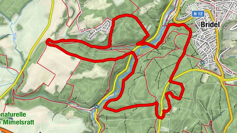 Carte