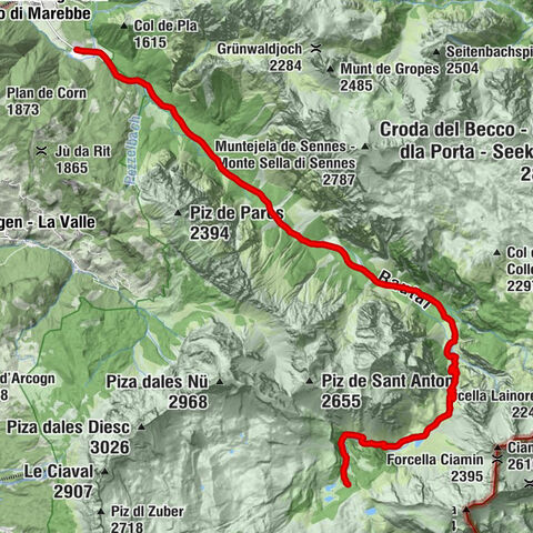 Carte