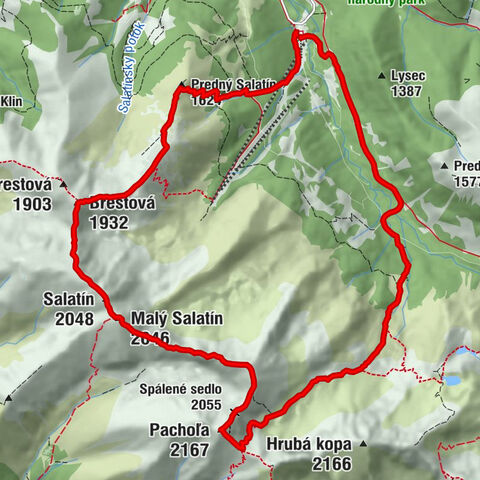 Pachola