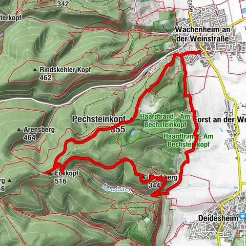Wachenheim - Eckkopf - Heidenlöcher - Wachenheim