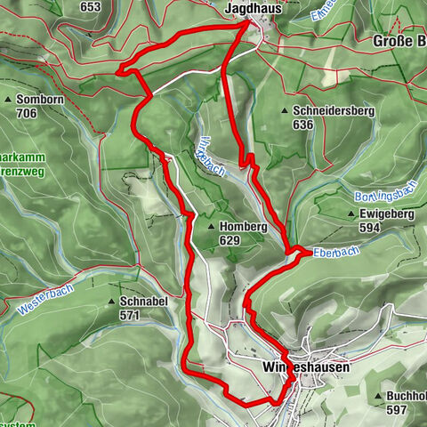 Wisent-Pfad - Rothaarsteig-Spur - Tierisches Wandervergnügen
