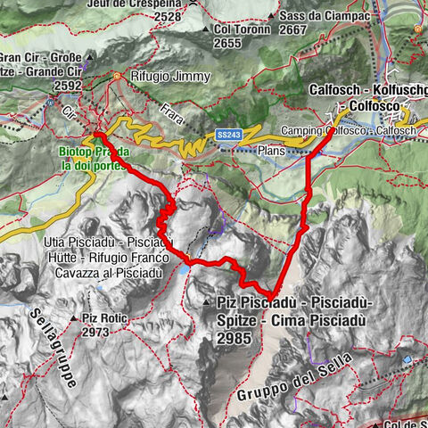 Carte