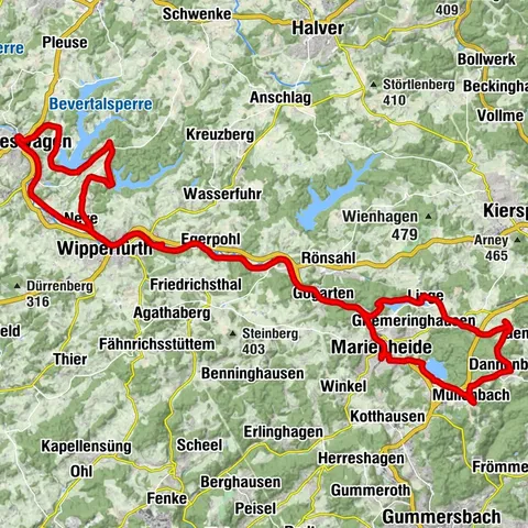 Carte