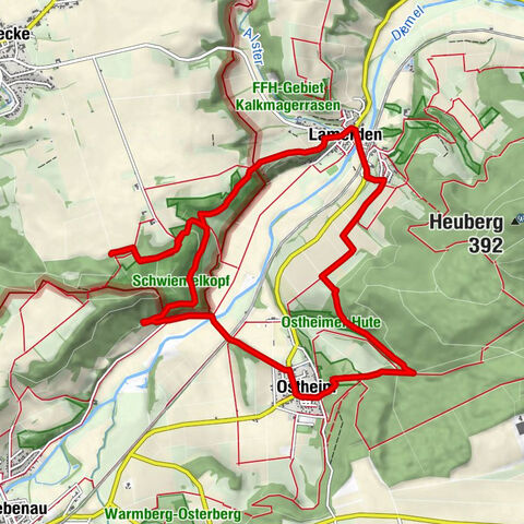 Erlesene Natur: Auf Tauchgang im Muschelkalkmeer