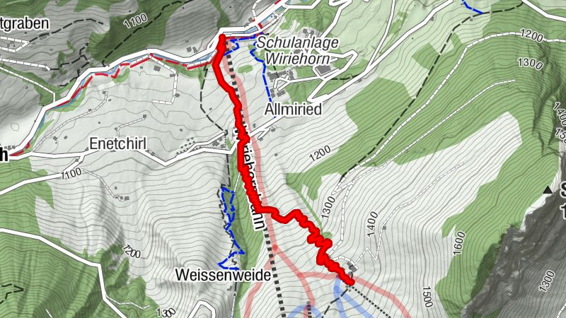 Downhill trail at the Wiriehorn area: Old T-Bar