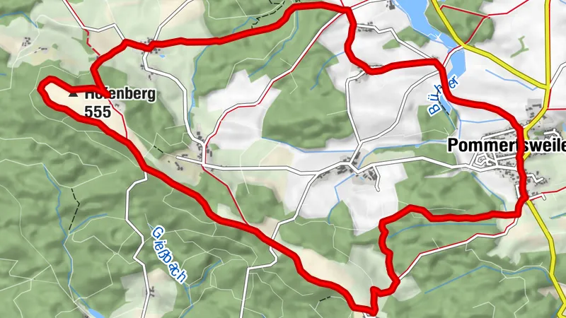 Bühlertal-Rundwanderung: Wald im Wandel