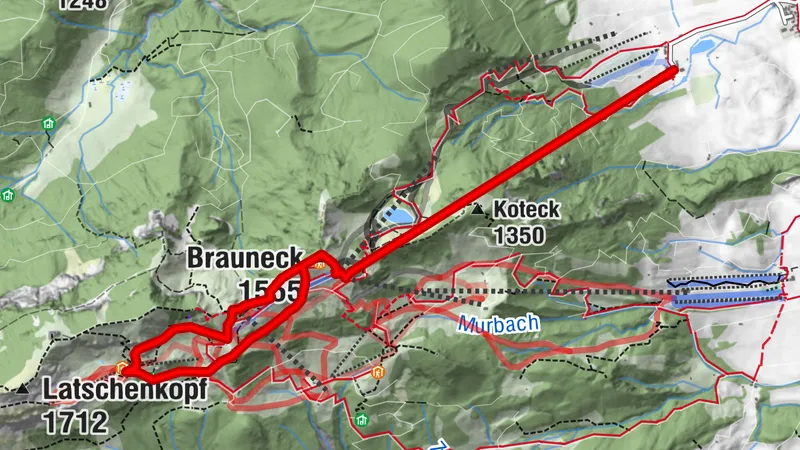 Brauneck