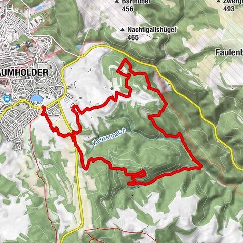 Boucle de rêve du sentier Bärenbach Baumholder