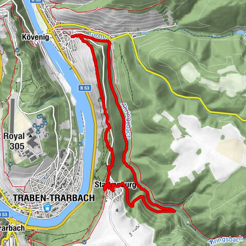 Moselsteig détour Leiermannspfad