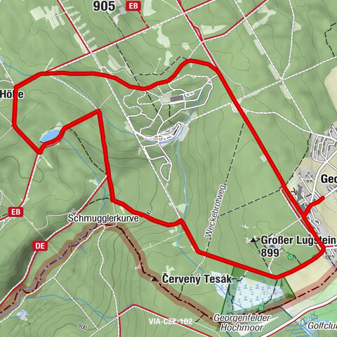 Wanderung mit Hund und Familie