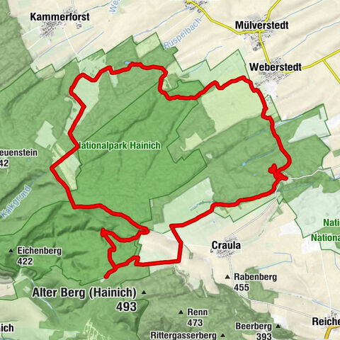 Hainich-Rundtour im Nationalpark