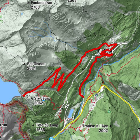 Carte