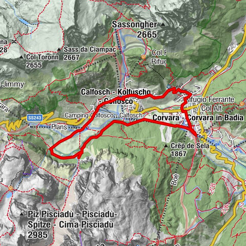 Carte